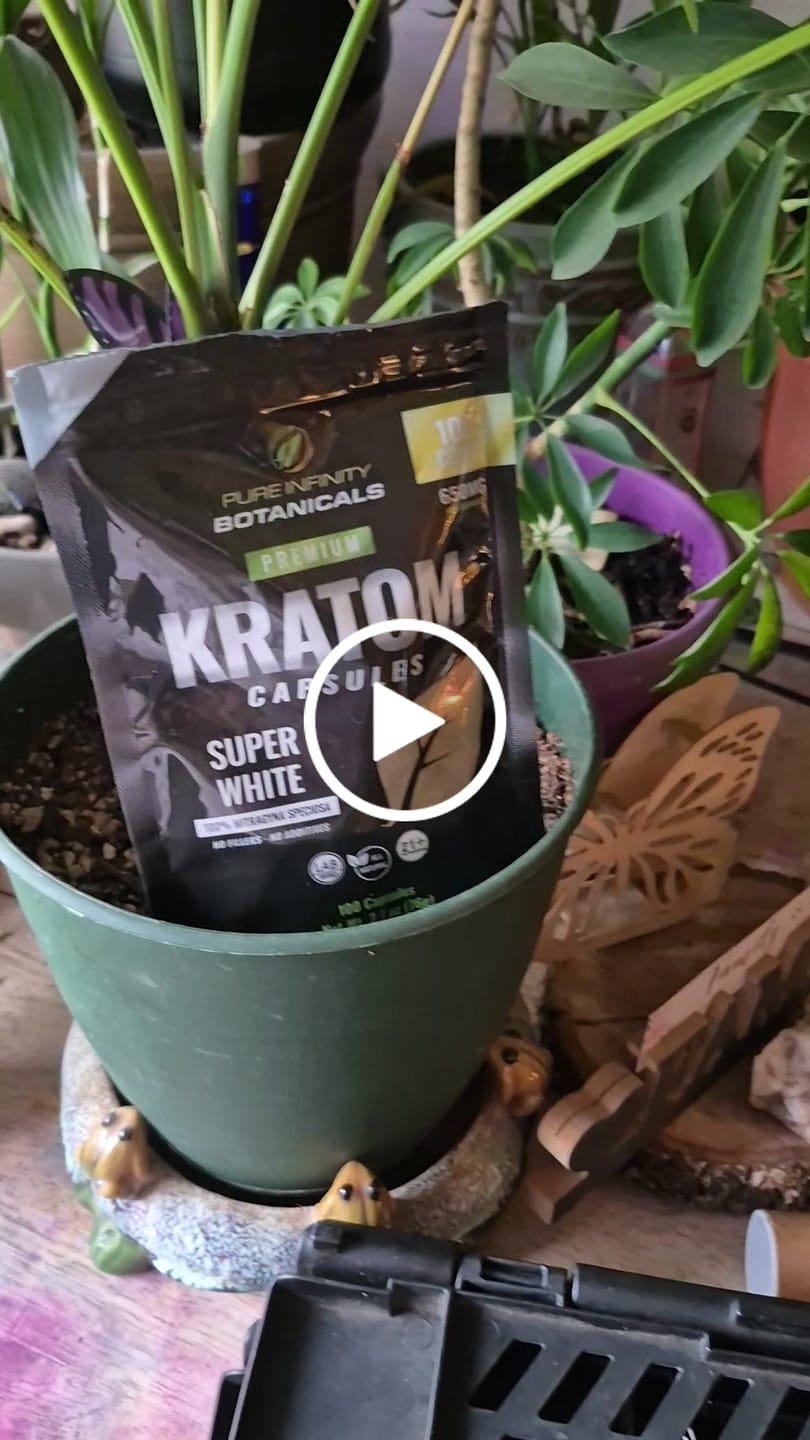 Customer video review of PIB Powder Trainwreck
