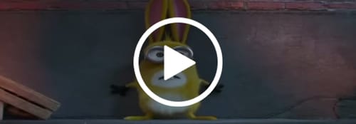 Customer video review of Bulk Indoor Trim