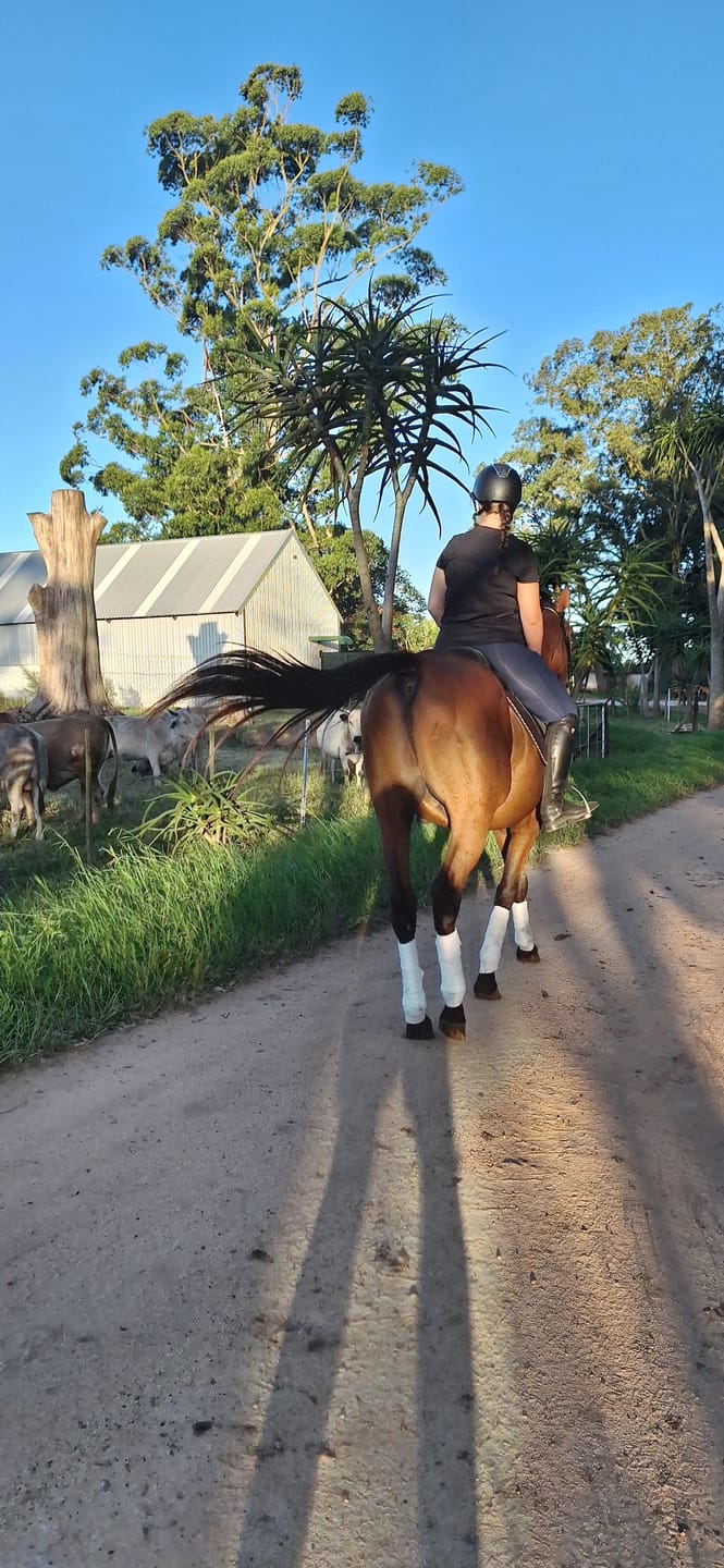 Customer photo review of Equimin Trophy (Supplement For Horses & Game)