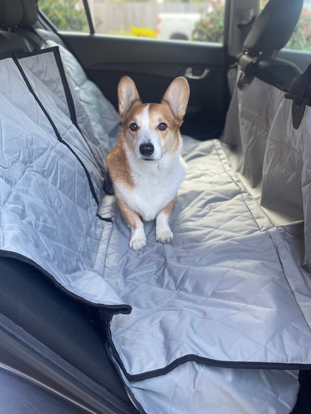 Customer photo review of Rear Seat Cover for Fold Down Seats with Hammock - Regular