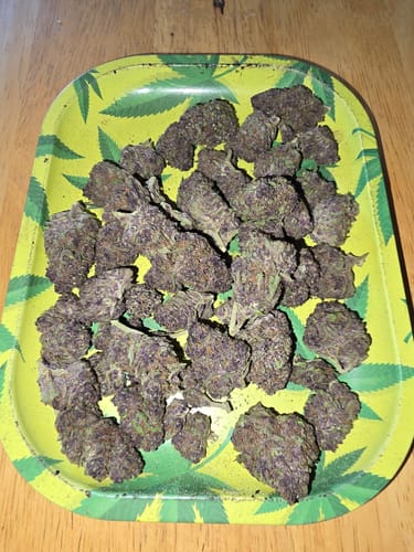 Customer photo review of Trop Cherry - Bulk - Sativa