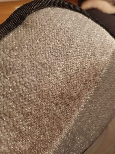 Customer photo review of Magic Fur Magnet
