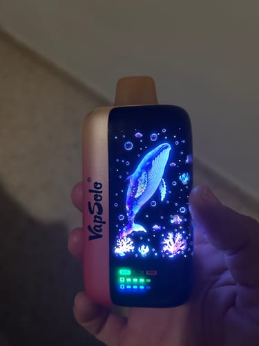 Customer photo review of VAPSOLO MASTER 70000 puffs