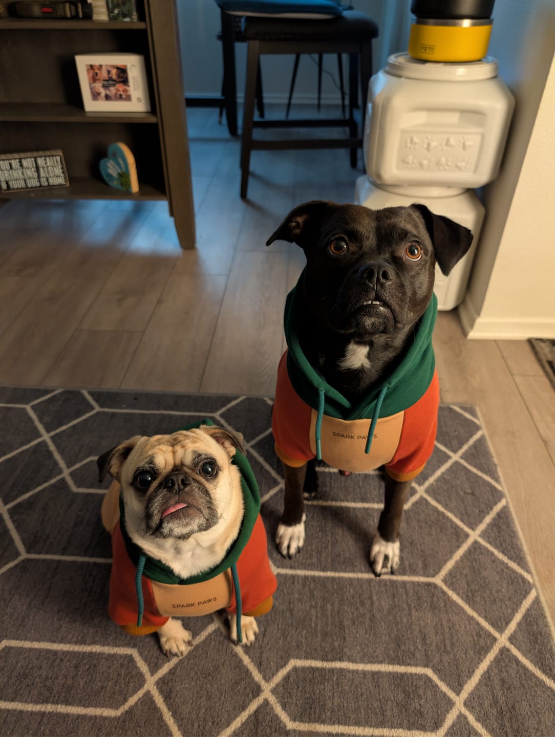 Customer photo review of Ranger Dog Hoodie