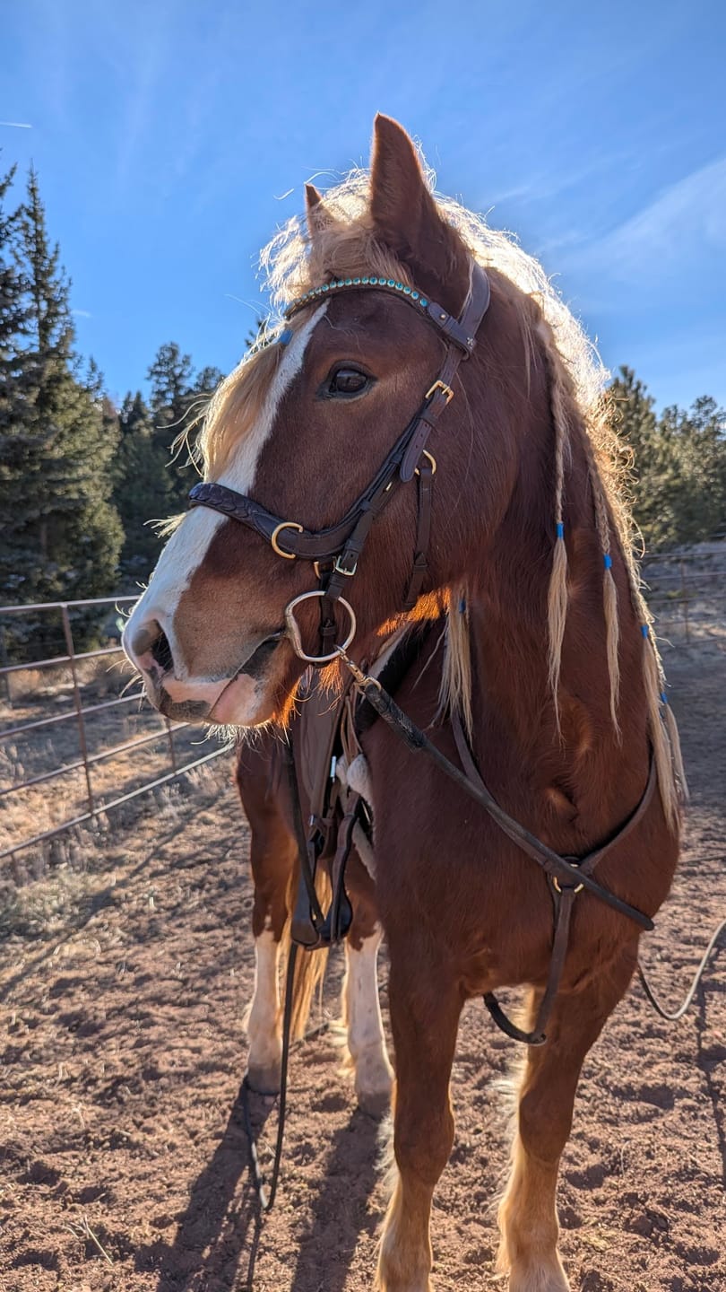 Customer photo review of Ocean pearl