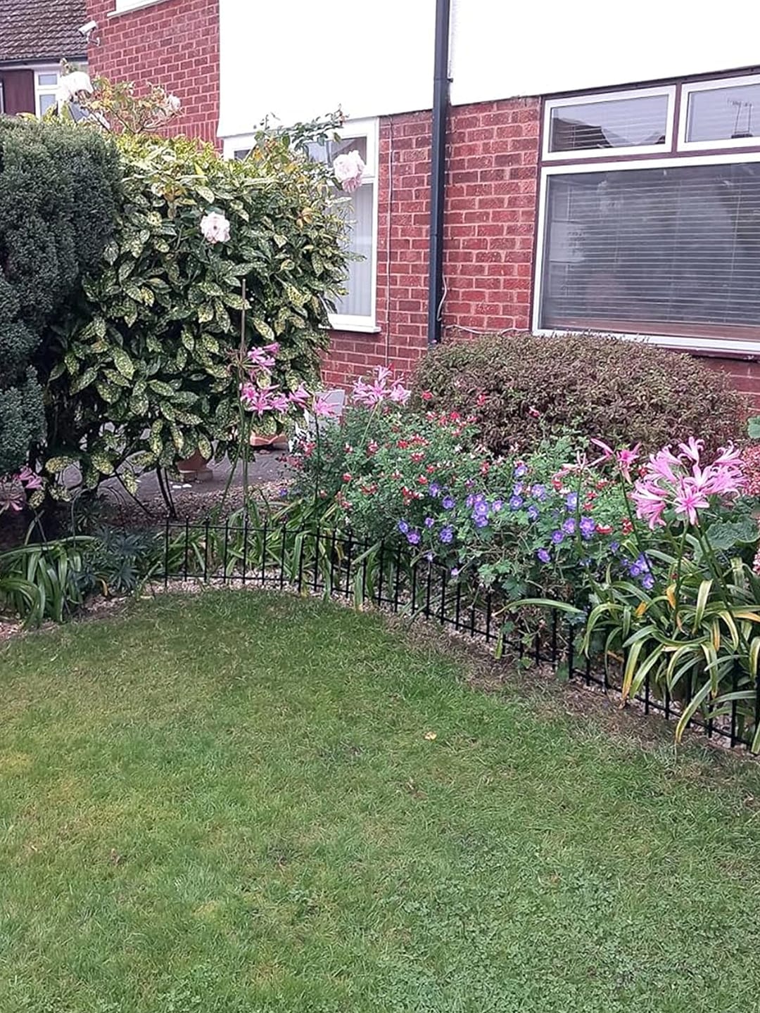 Customer photo review of Metal Garden Fence 60×60cm, 5 Panels (3m), No-Dig Dog & Flower Bed Fence