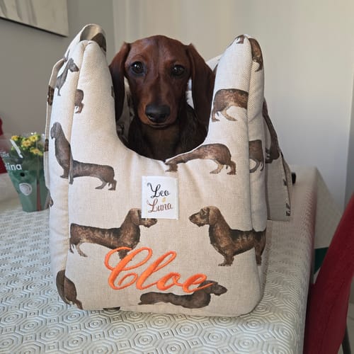 Customer photo review of Borsa Cotone Panama Bassotto