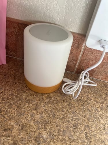 Customer photo review of Friendship Lamp