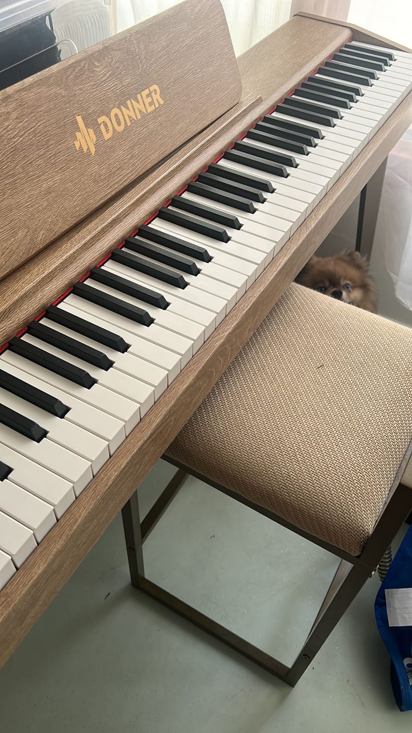 Customer photo review of Donner DDP-60 Semi-lesté Piano Numérique