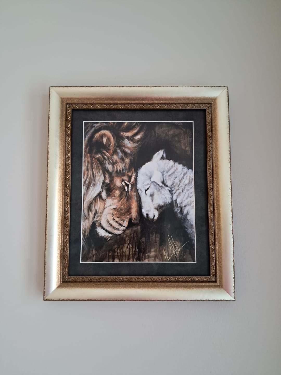 Customer photo review of Compassion of a King