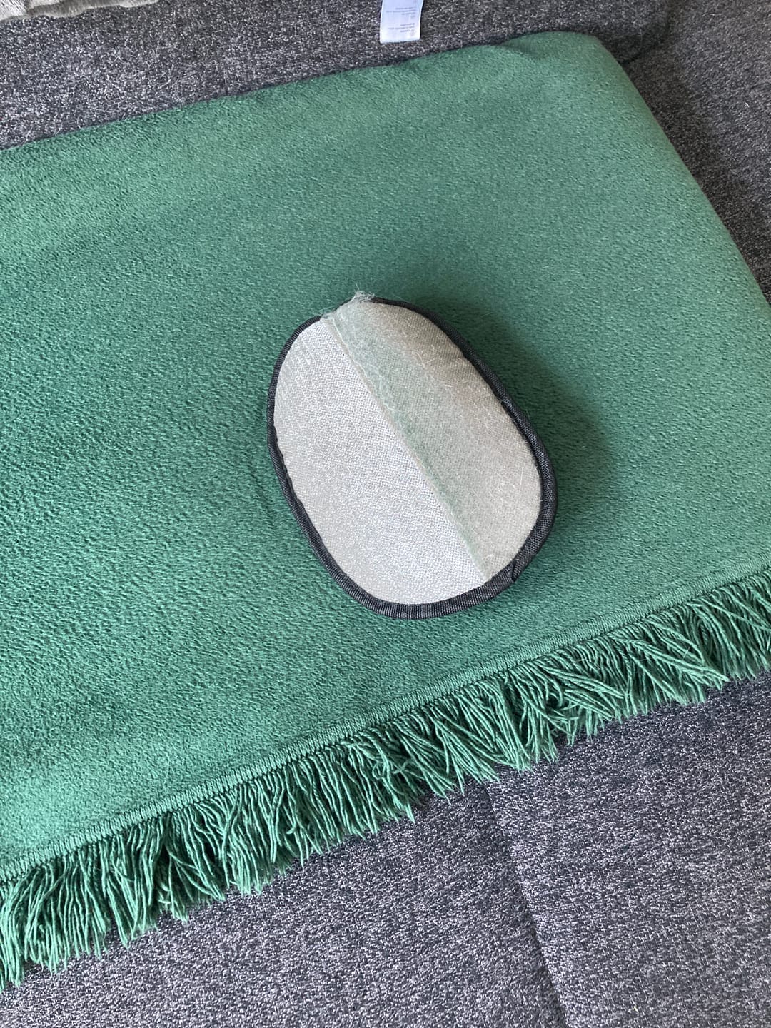 Customer photo review of Magic Fur Magnet