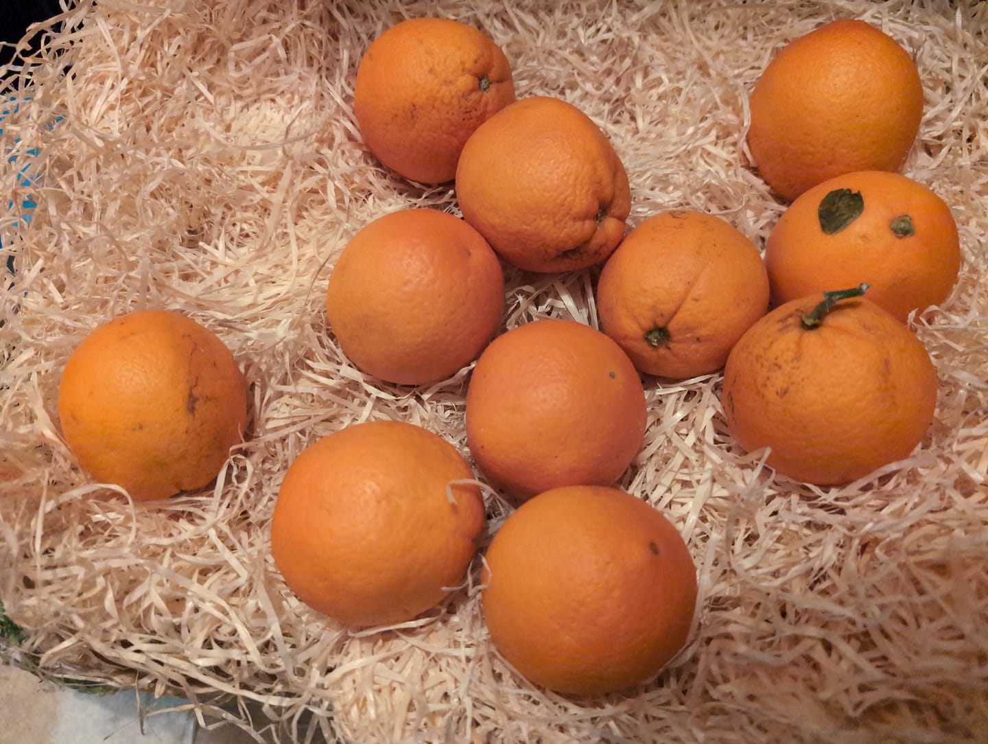 Customer photo review of Saft-Orangen Bio aus Sizilien