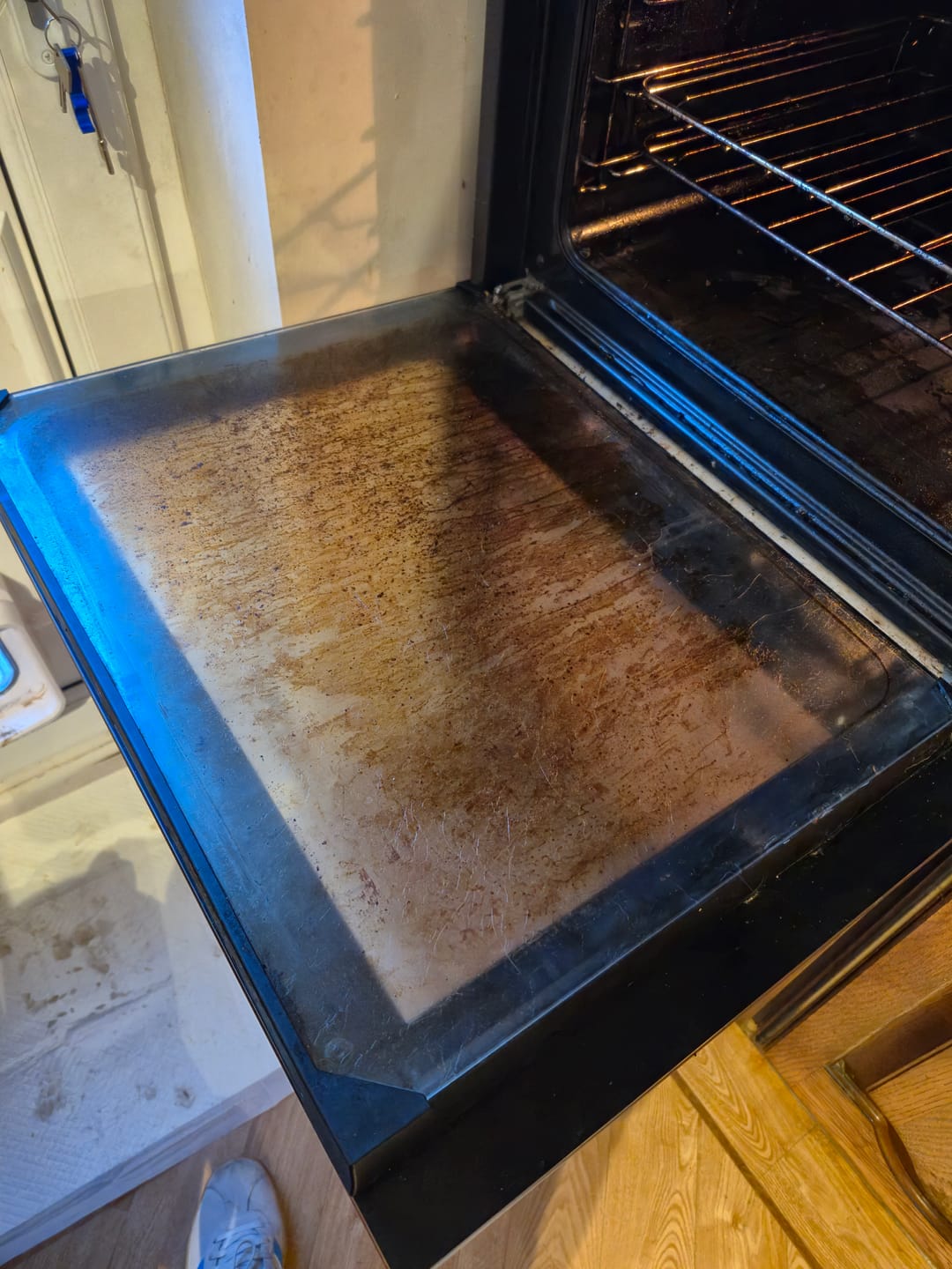 Customer photo review of Clean Ya Oven