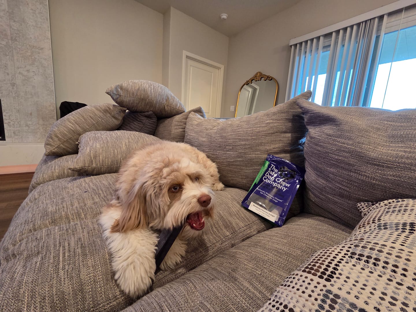 Customer photo review of Blueberry Yak Chews