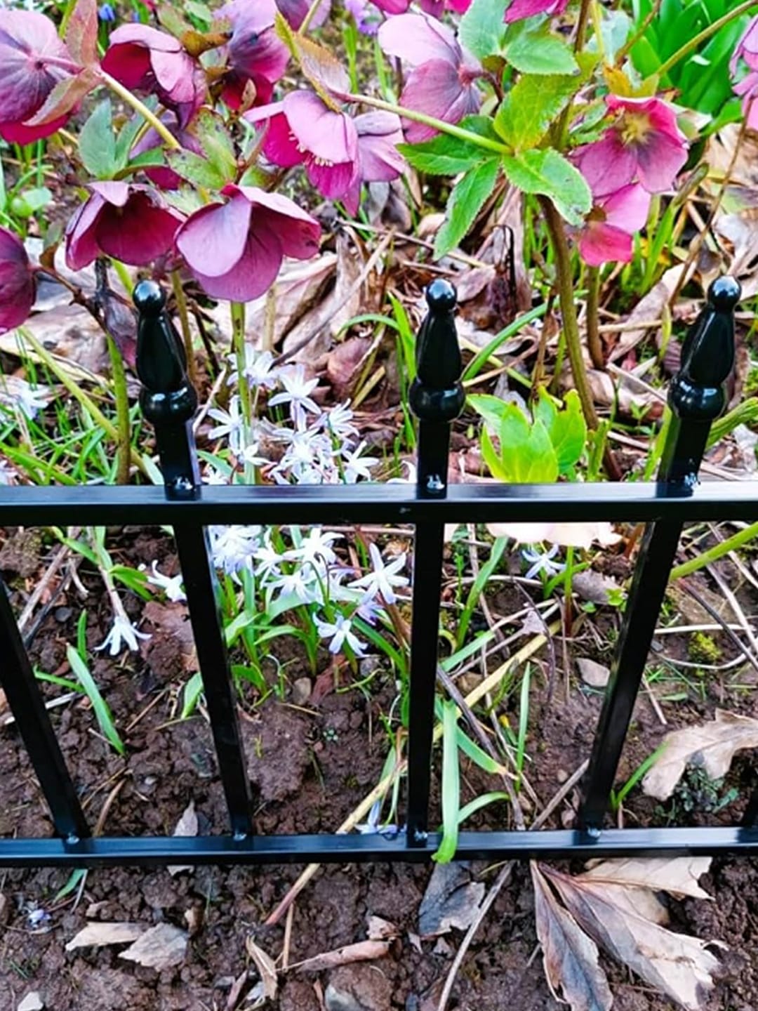 Customer photo review of Metal Garden Fence 60×60cm, 5 Panels (3m), No-Dig Dog & Flower Bed Fence