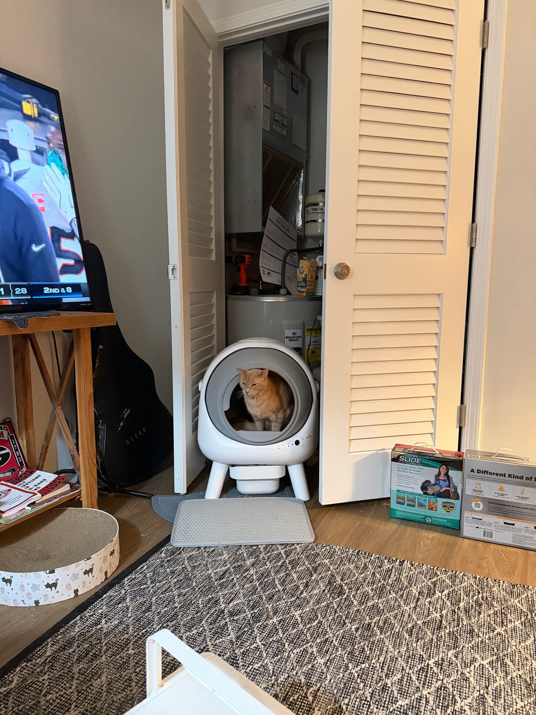 Customer photo review of Pet Parent's Choice: Mixed Cat Litter & Trash Bag Bundle