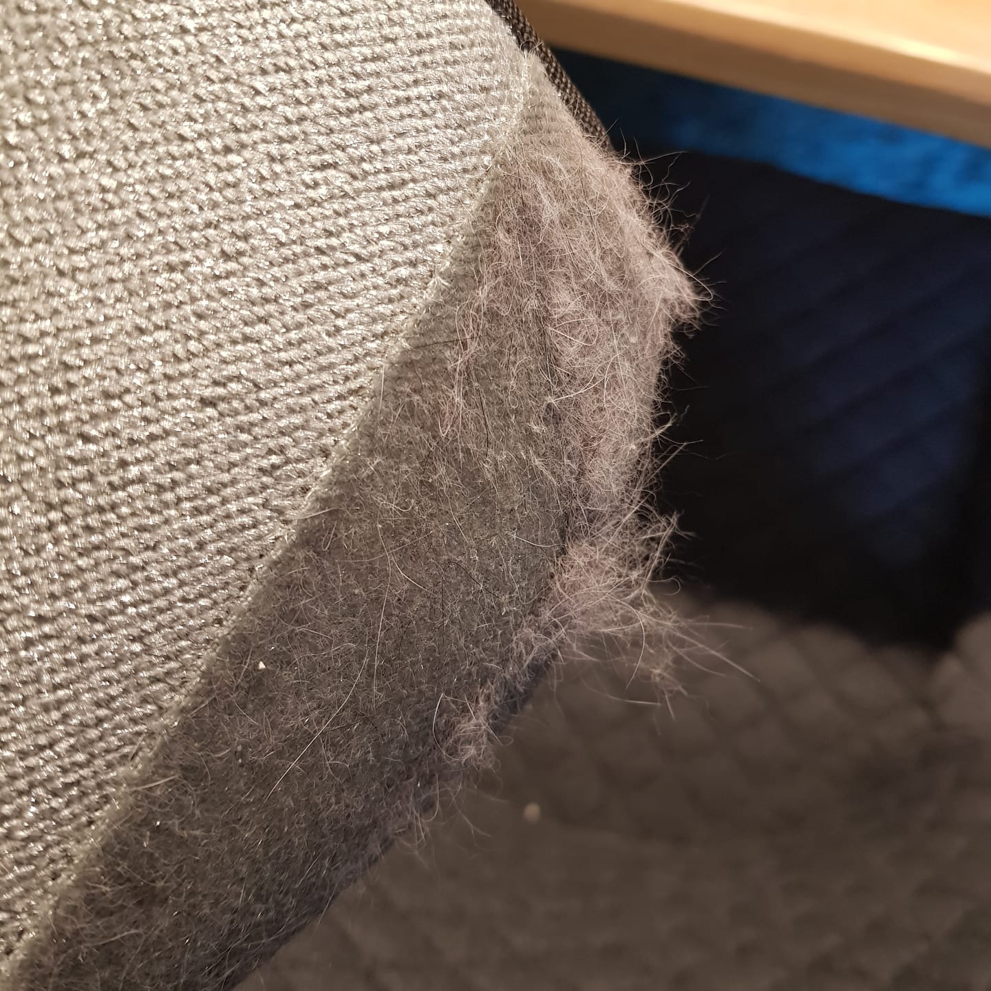 Customer photo review of Magic Fur Magnet