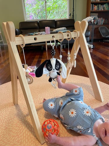 Customer photo review of Billie the Bunny – High Contrast Hanging Pram Toy