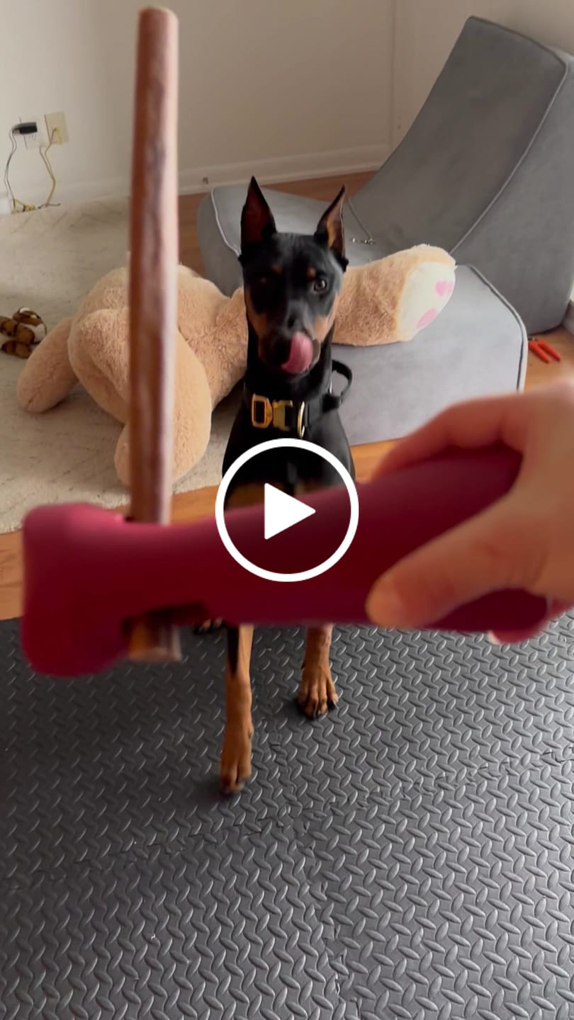 Customer video review of 10-12 Inch Collagen Stick