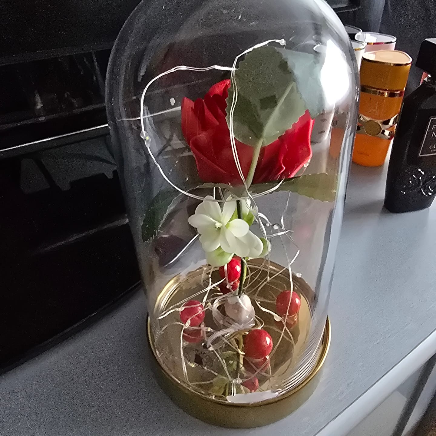 Customer photo review of Ewige Rose im Glas – Romantisches Lichtarrangement