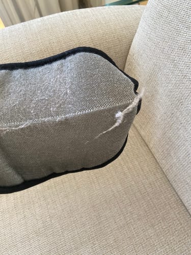 Customer photo review of Magic Fur Magnet