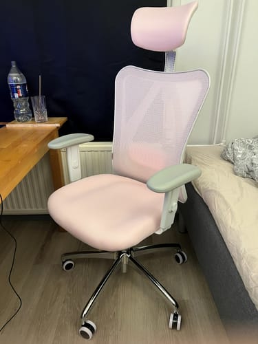 Customer photo review of Sihoo M18 Classic Office Chair With Triple Spinal Relief