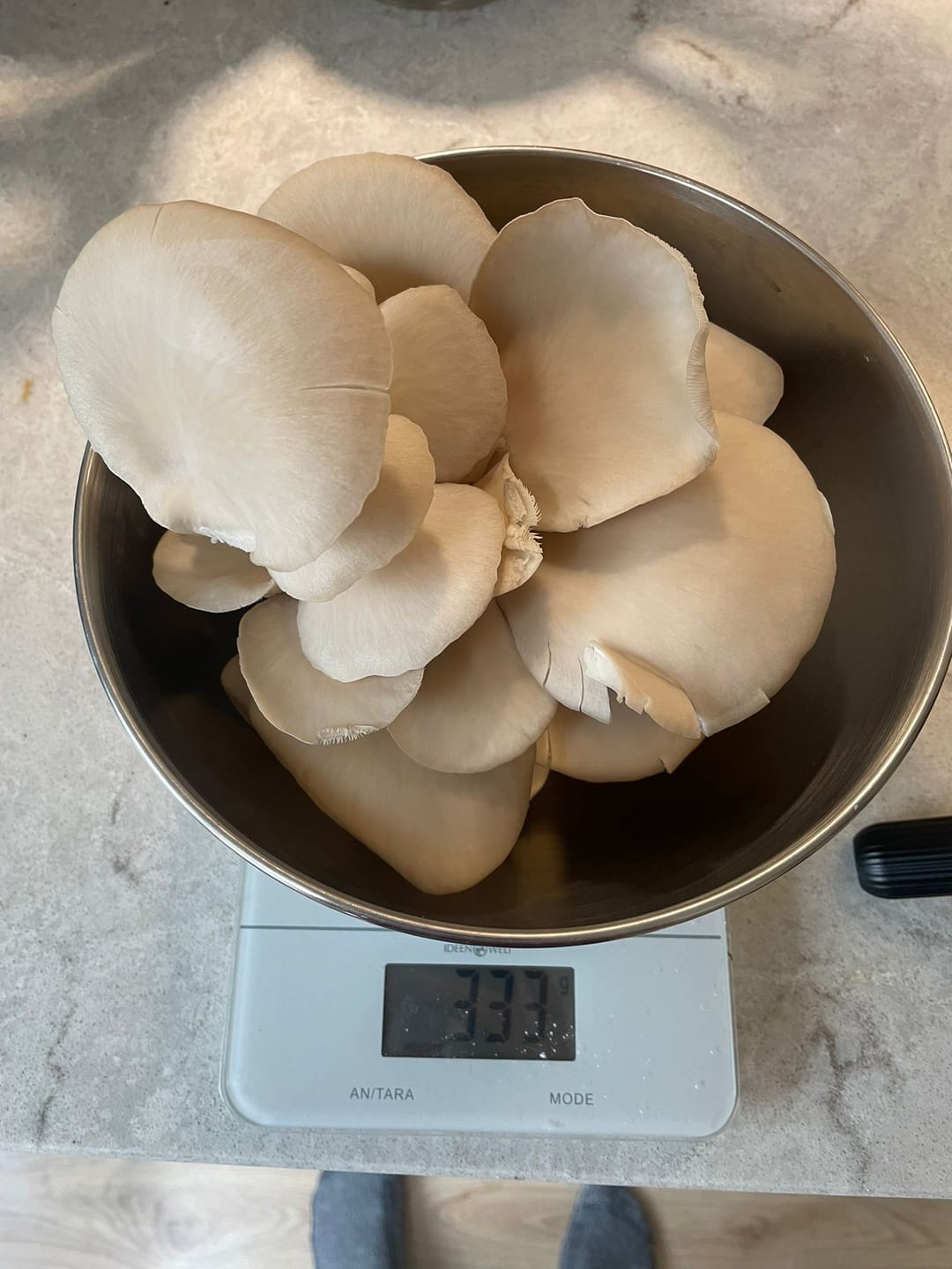 Customer photo review of Sproushi Midnight Blue