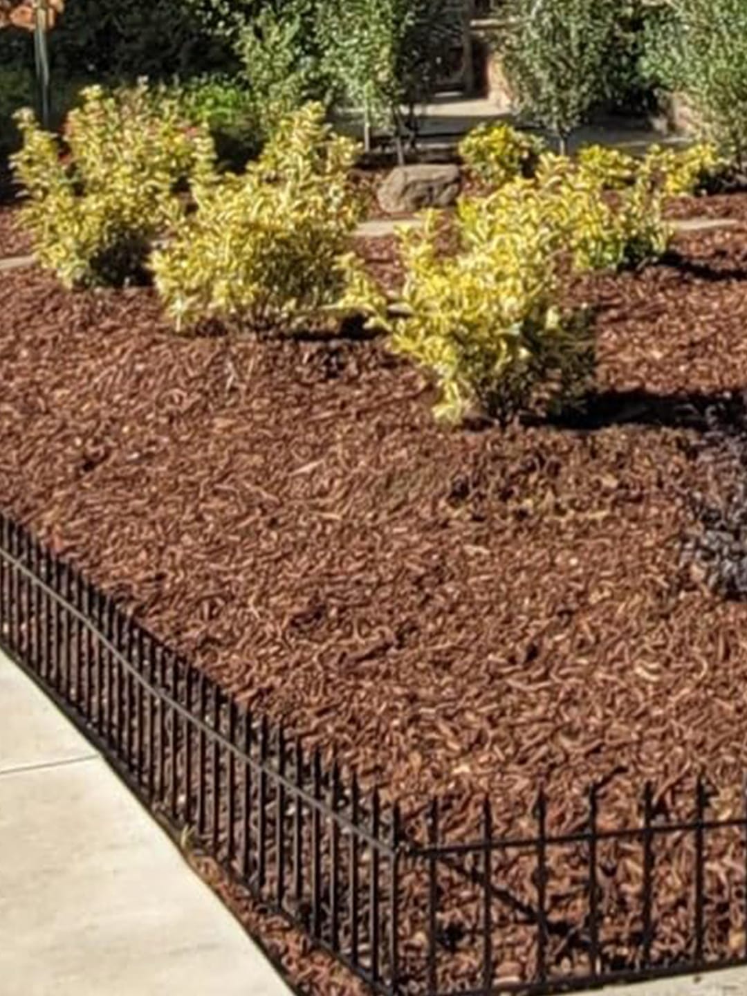 Customer photo review of Metal Garden Fence 60×60cm, 5 Panels (3m), No-Dig Dog & Flower Bed Fence