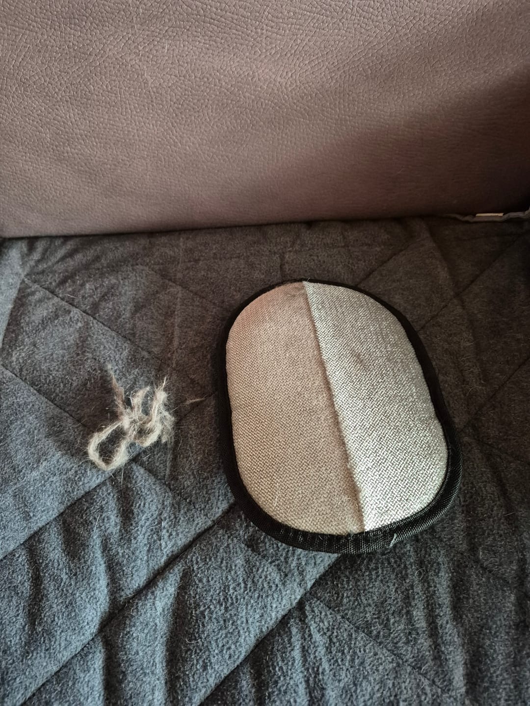 Customer photo review of Magic Fur Magnet