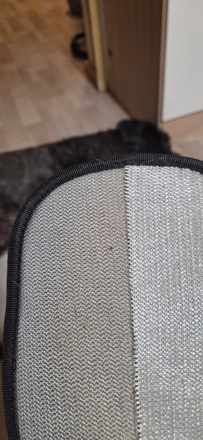 Customer photo review of Magic Fur Magnet