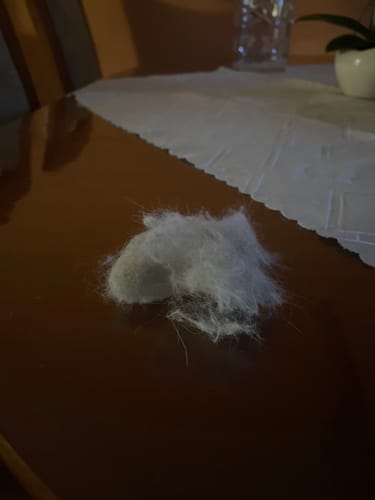 Customer photo review of Magic Fur Magnet