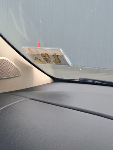 Customer photo review of Homer's Flippin
