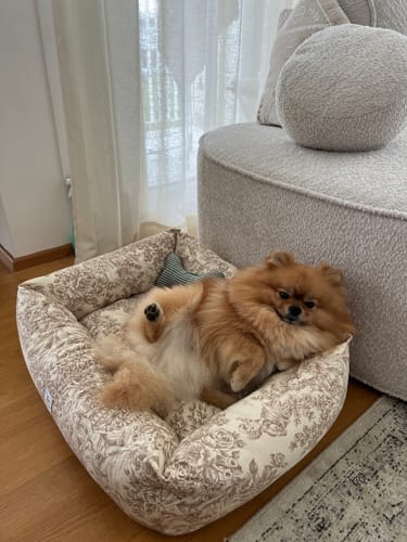 Customer photo review of Divanetto Panama Premium Toile de Jouy Beige Naturale