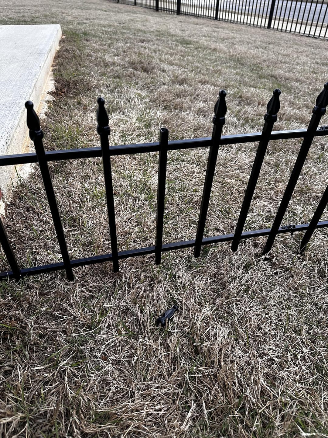 Customer photo review of Metal Garden Fence 60×60cm, 5 Panels (3m), No-Dig Dog & Flower Bed Fence