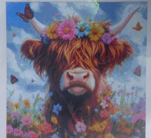 Kundenbewertung mit Foto zu Hochlandrind mit Blumen