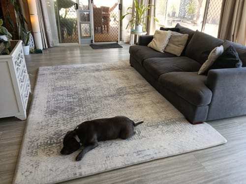 Customer's Silver Mist Mellow Mat in a lounge room with a dark couch and a pet dog resting on it.