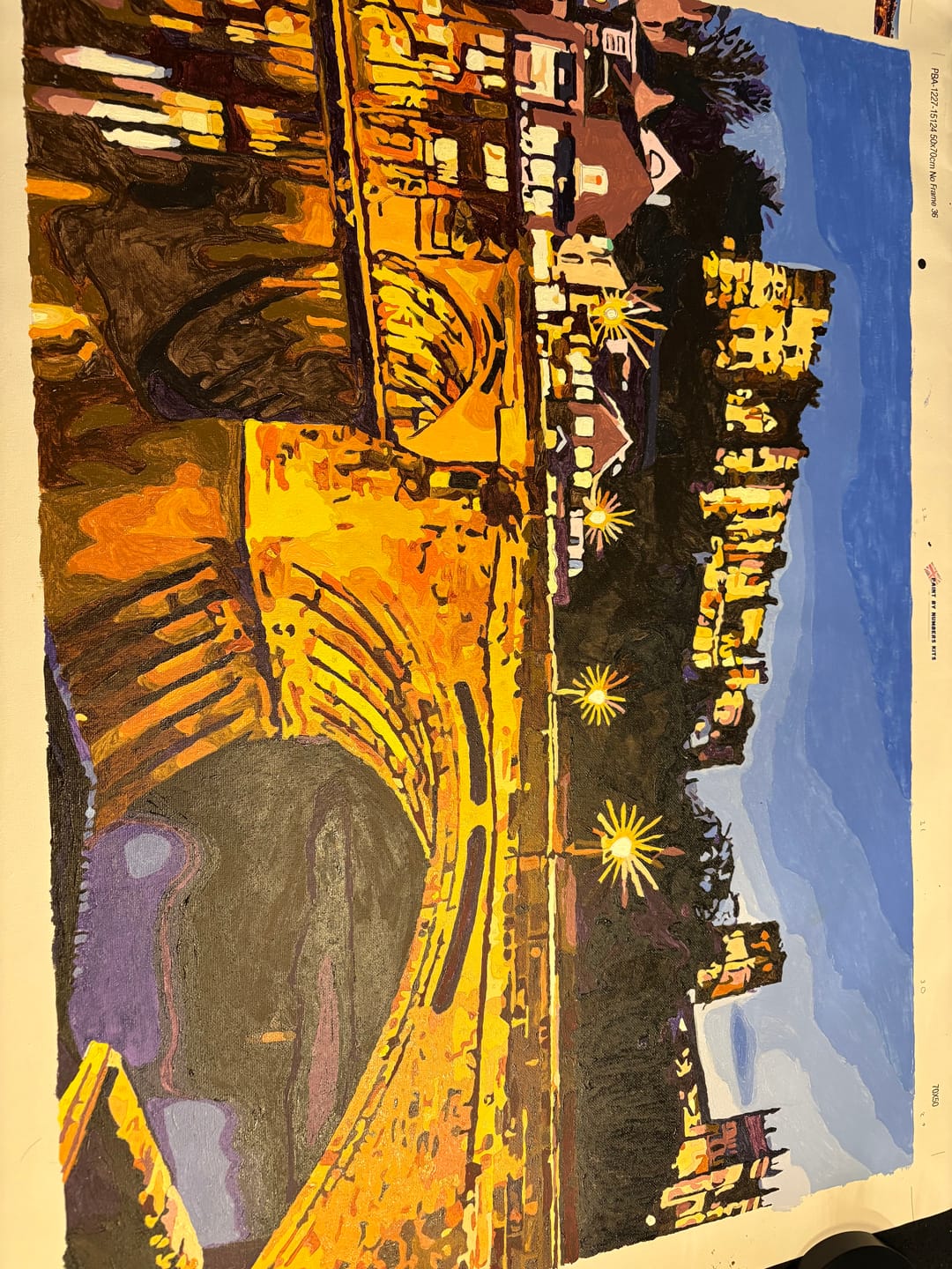 Customer photo review of Custom Paint By Numbers