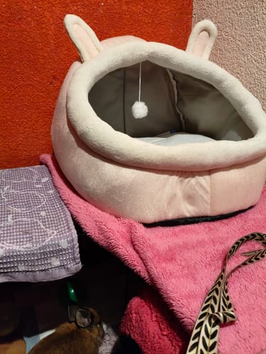 Customer photo review of CT3118 1 Pieza De Cama Con Diseño Para Mascota