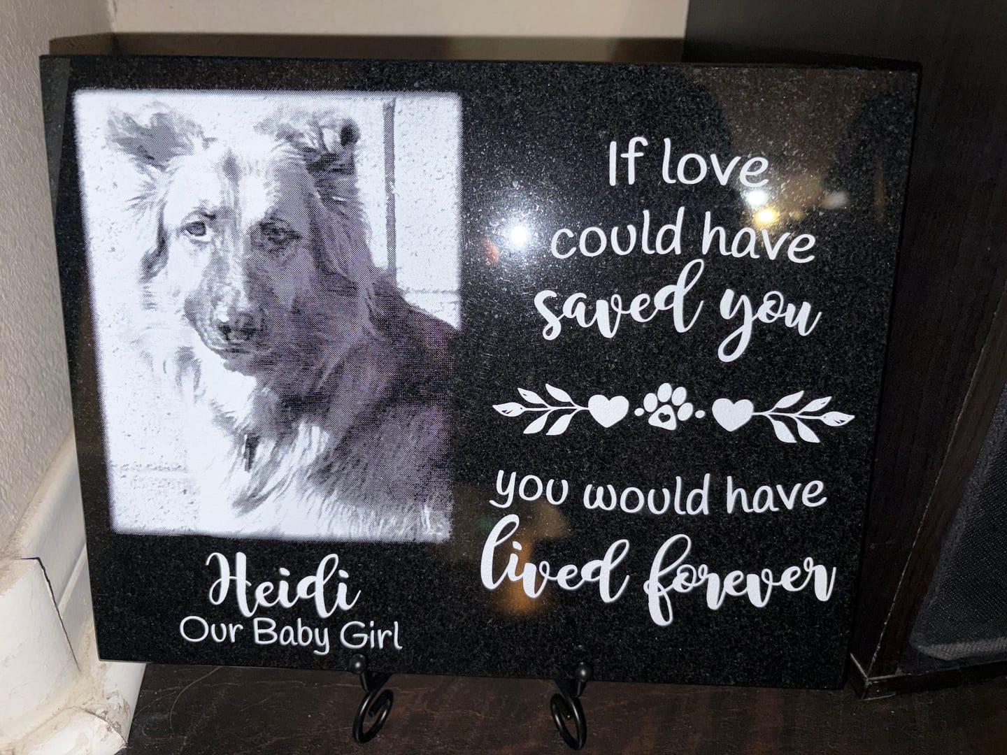 Customer photo review of Outdoor Personalized Dog Memorial Plaque If Love Could Have Saved You Personalized Outdoor Plaque