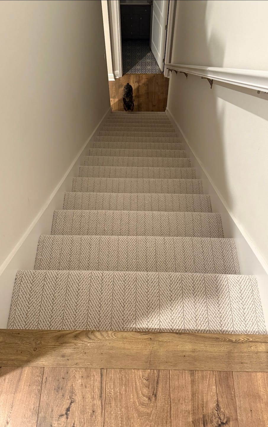 Customer photo review of Amalfi Carrara Carpet Treads for Stairs