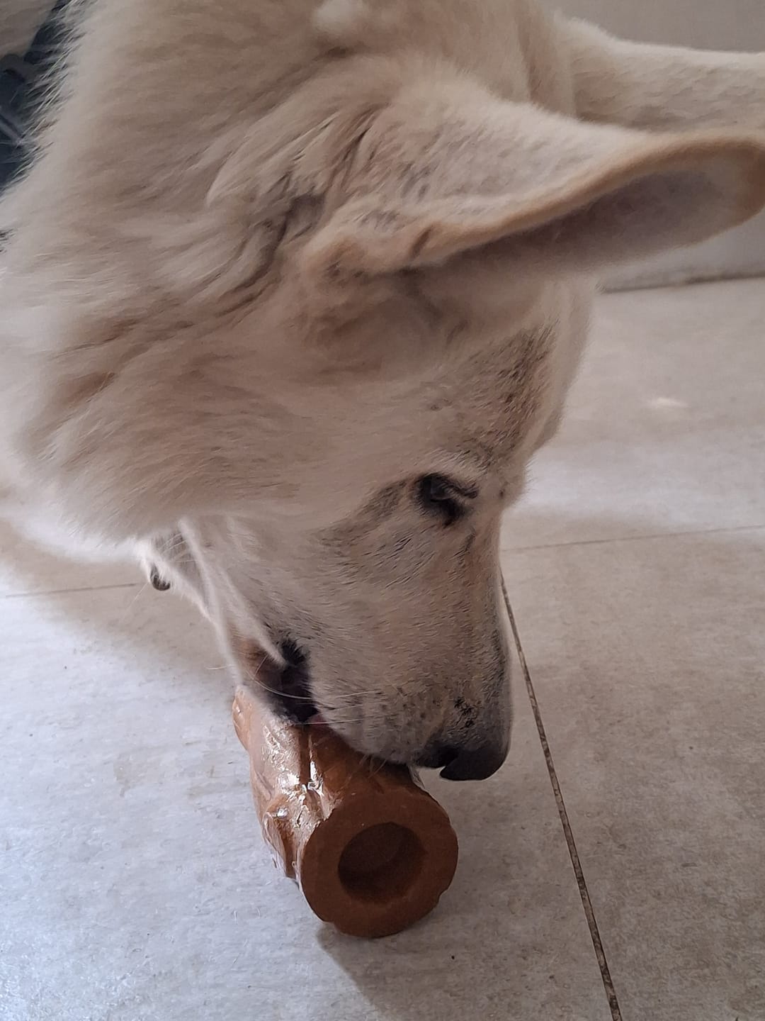 Customer photo review of Tronco Mágico — Calma con snacks congelados