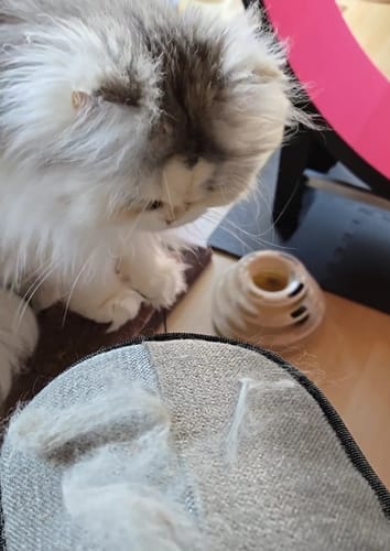 Customer photo review of Magic Fur Magnet