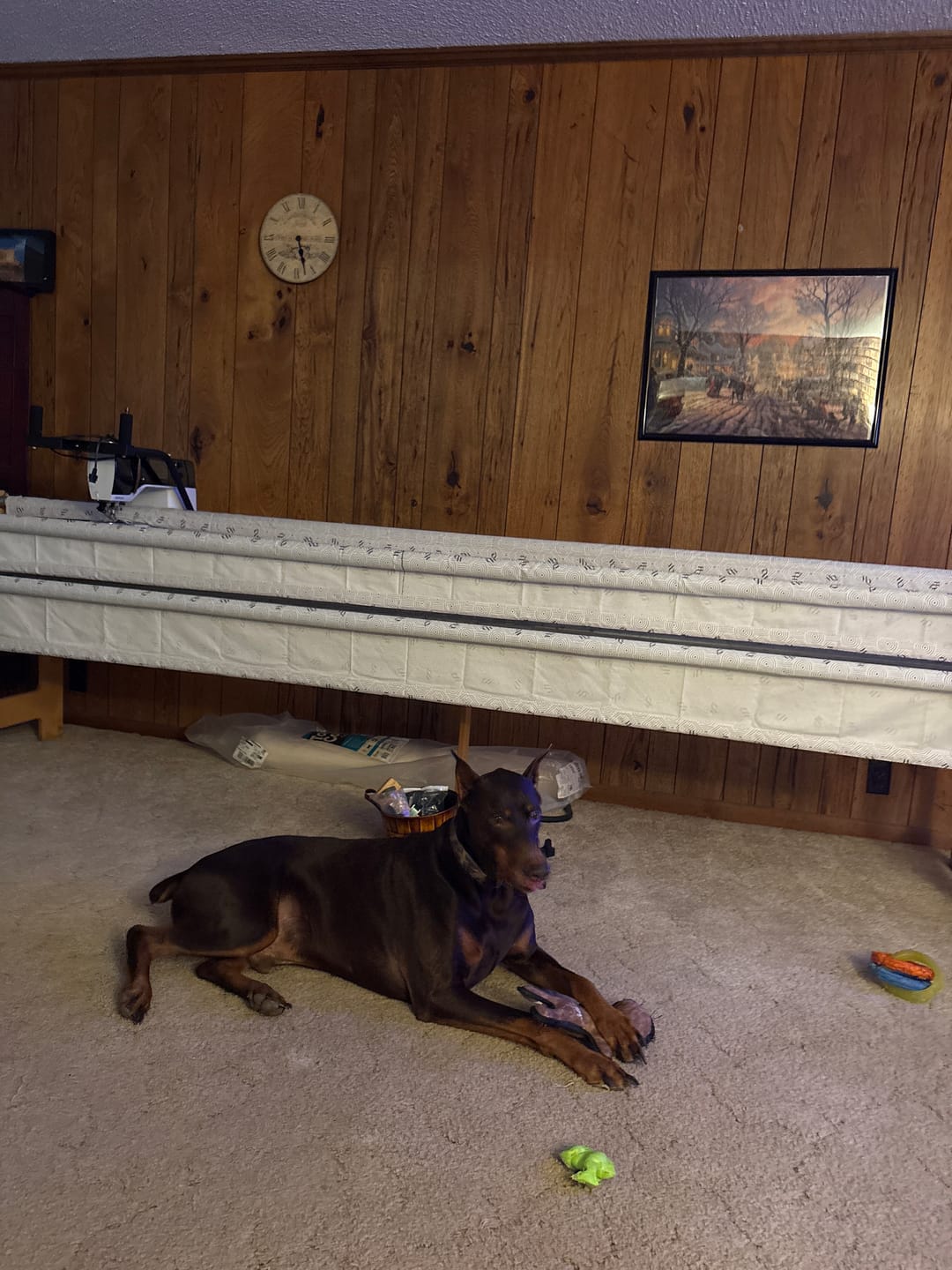 Customer photo review of Red Snapper Quilt Loading System