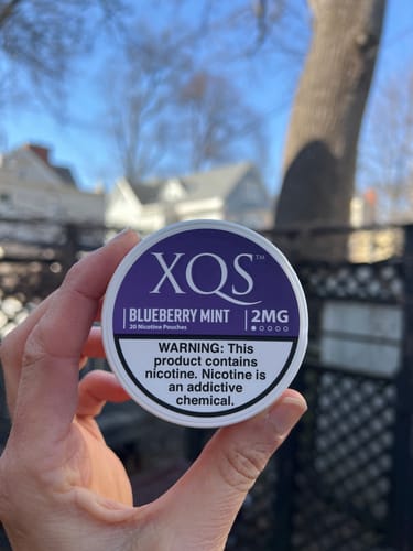 Customer photo review of Blueberry Mint Nicotine Pouches