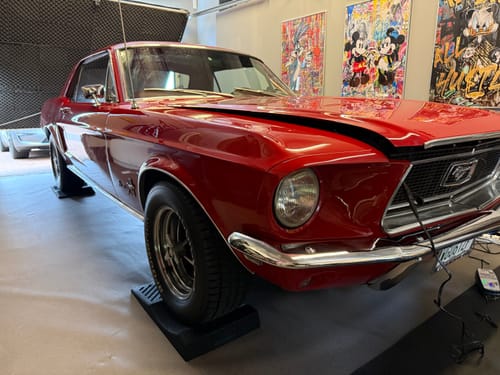 Customer photo review of TyreDox Original