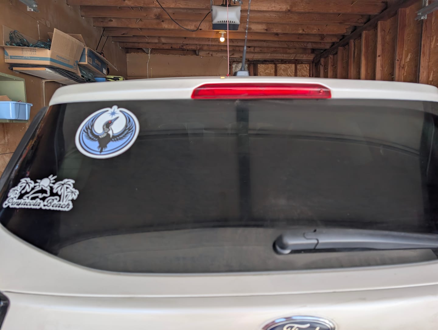 Customer photo review of Rebel Loon Sticker