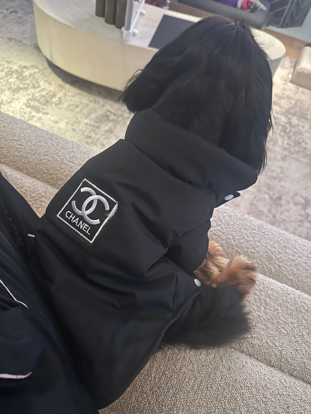 Customer photo review of CC Doggo Classic Warm Fresh Jacket