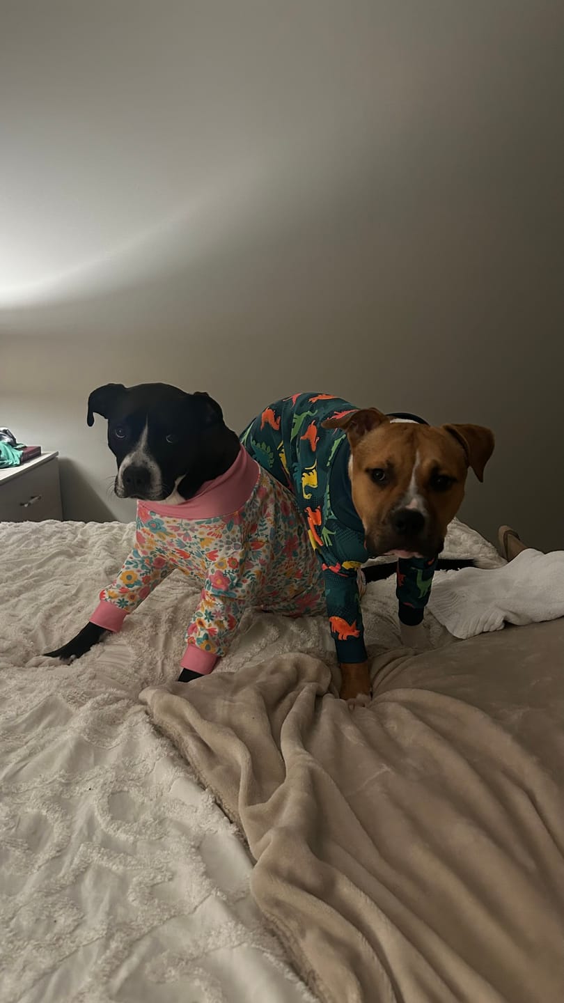 Customer photo review of Dog Pajama Prints