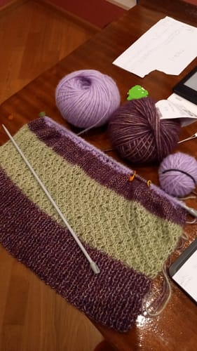 Customer photo review of ALP KIW X2