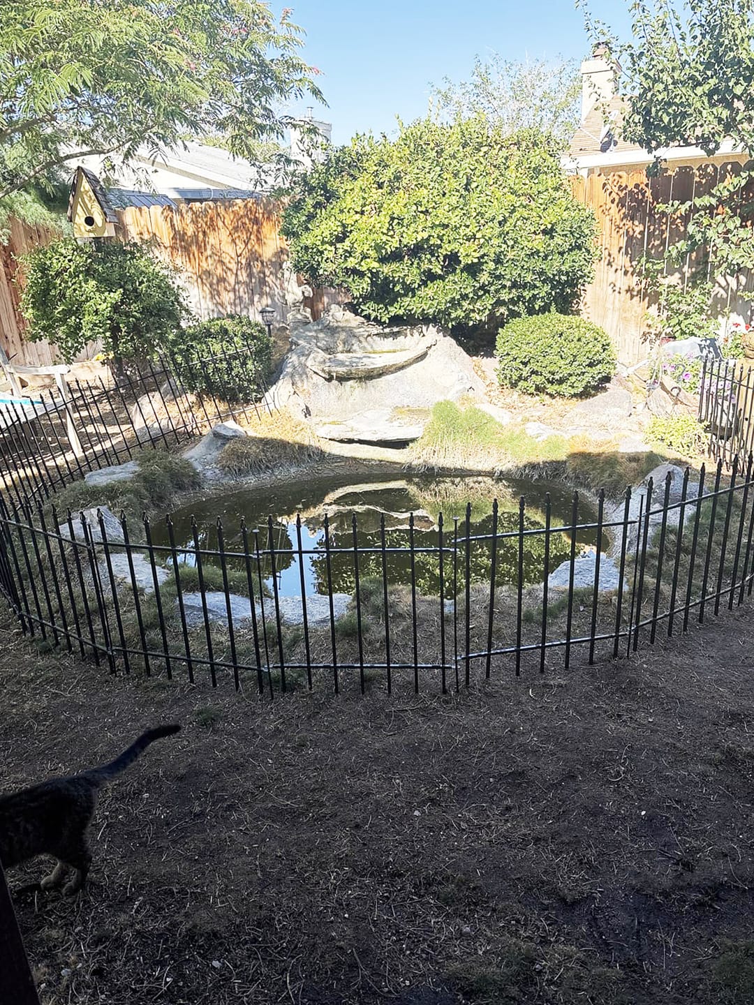 Customer photo review of Metal Garden Fence 60×60cm, 5 Panels (3m), No-Dig Dog & Flower Bed Fence